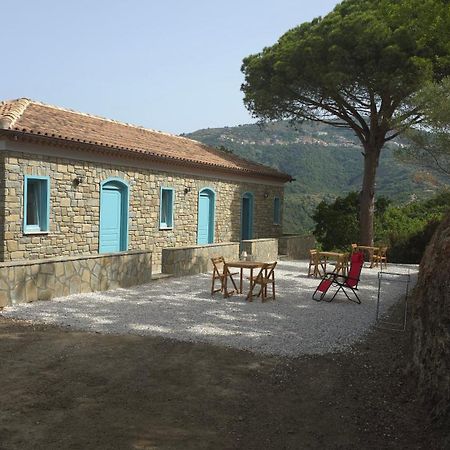 Agriturismo Le Terre Di Venere Acciaroli Exteriér fotografie