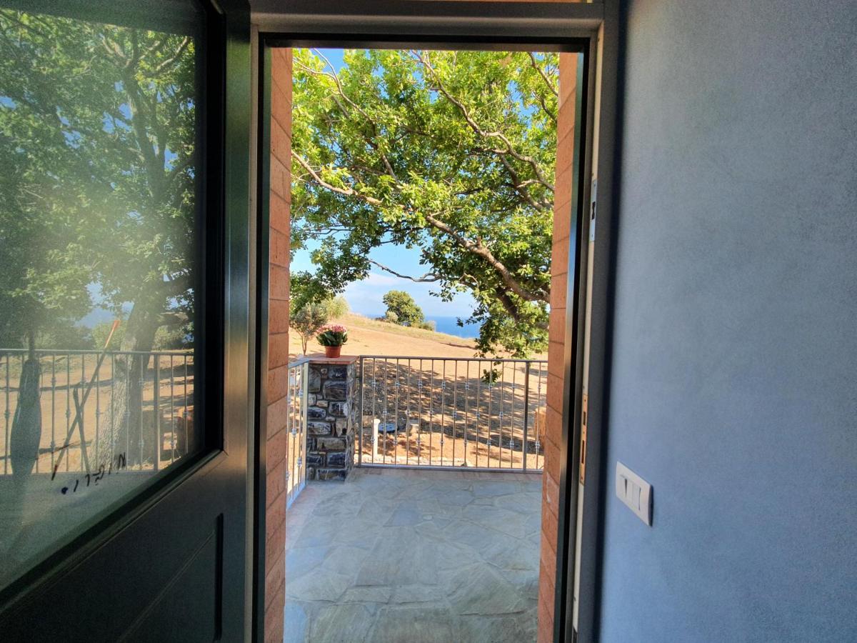 Agriturismo Le Terre Di Venere Acciaroli Exteriér fotografie