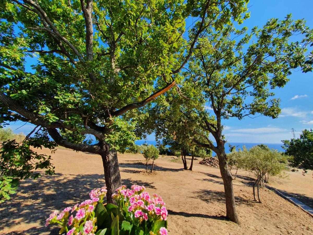 Agriturismo Le Terre Di Venere Acciaroli Exteriér fotografie