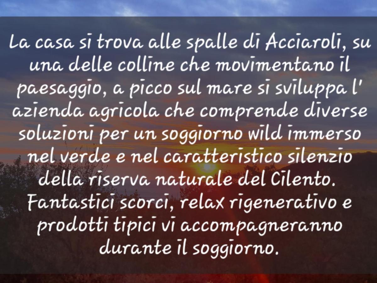 Agriturismo Le Terre Di Venere Acciaroli Exteriér fotografie