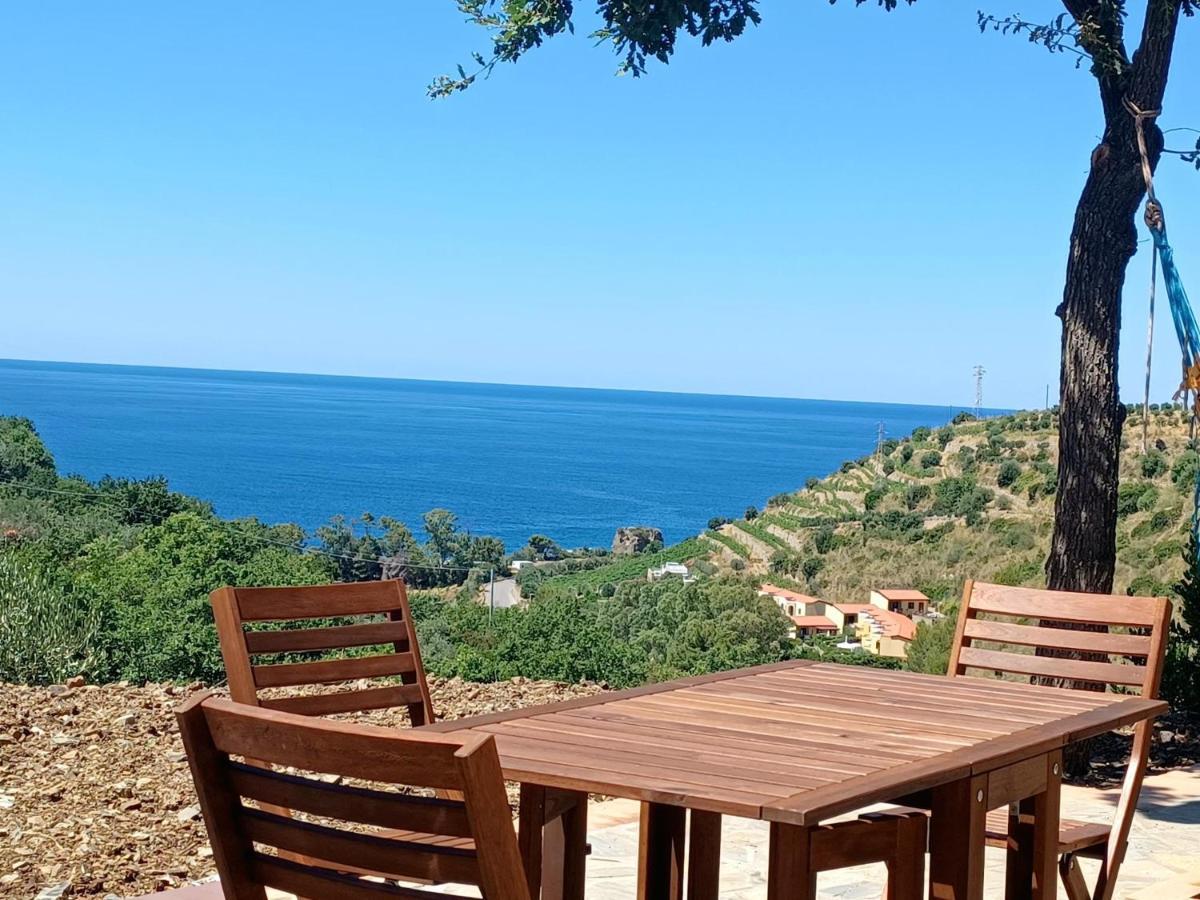Agriturismo Le Terre Di Venere Acciaroli Exteriér fotografie