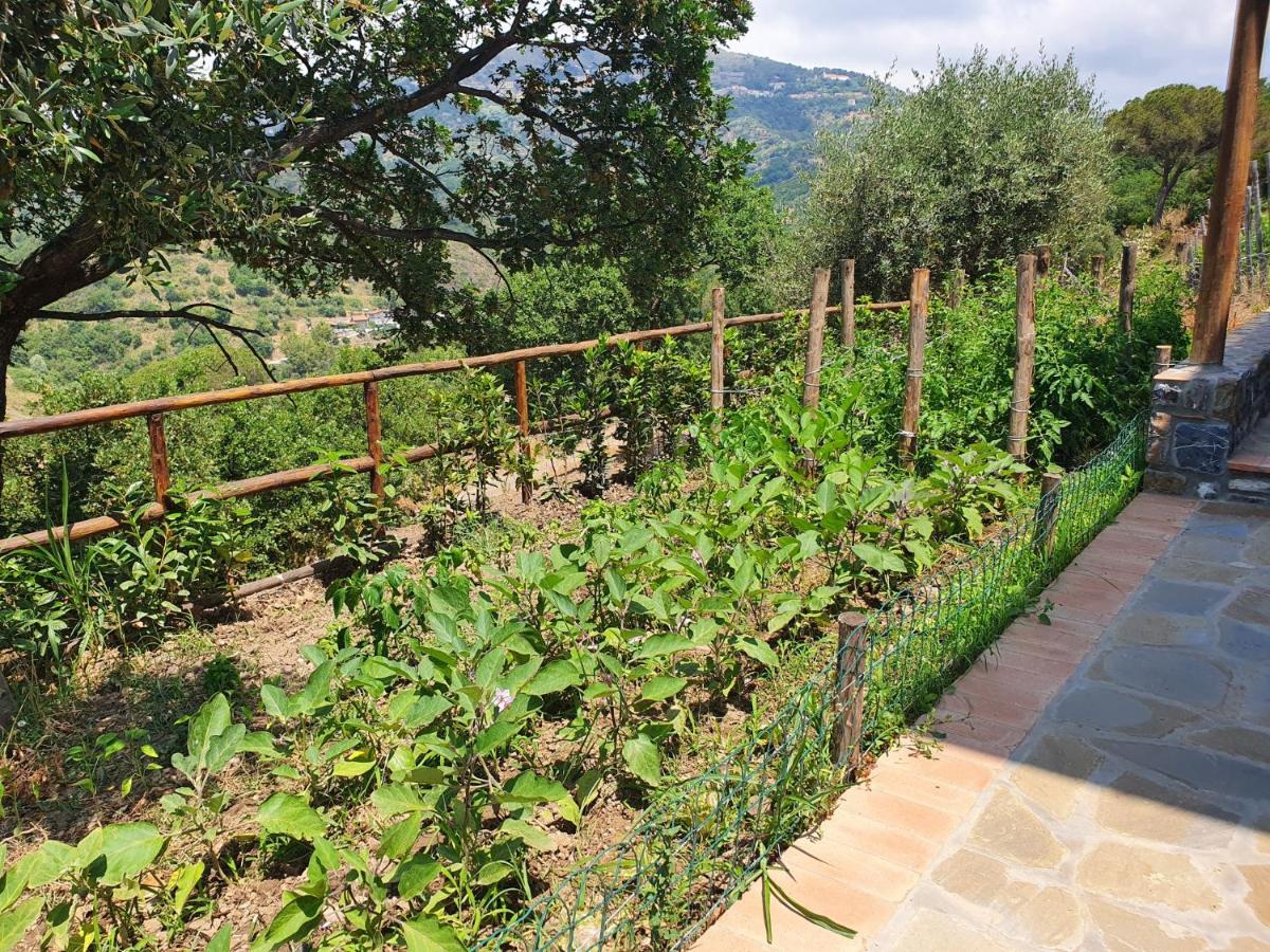 Agriturismo Le Terre Di Venere Acciaroli Exteriér fotografie
