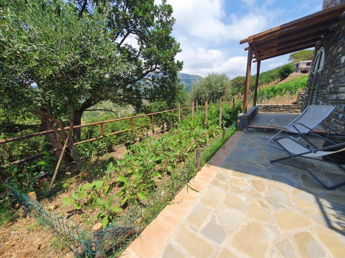 Agriturismo Le Terre Di Venere Acciaroli Exteriér fotografie