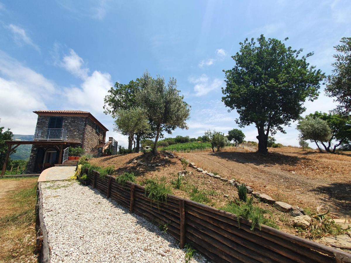 Agriturismo Le Terre Di Venere Acciaroli Exteriér fotografie