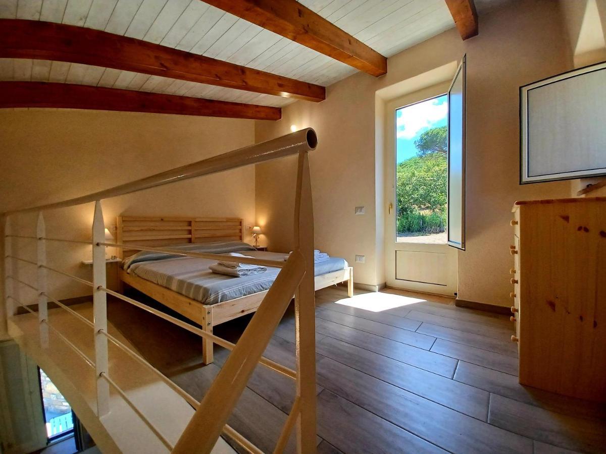 Agriturismo Le Terre Di Venere Acciaroli Exteriér fotografie