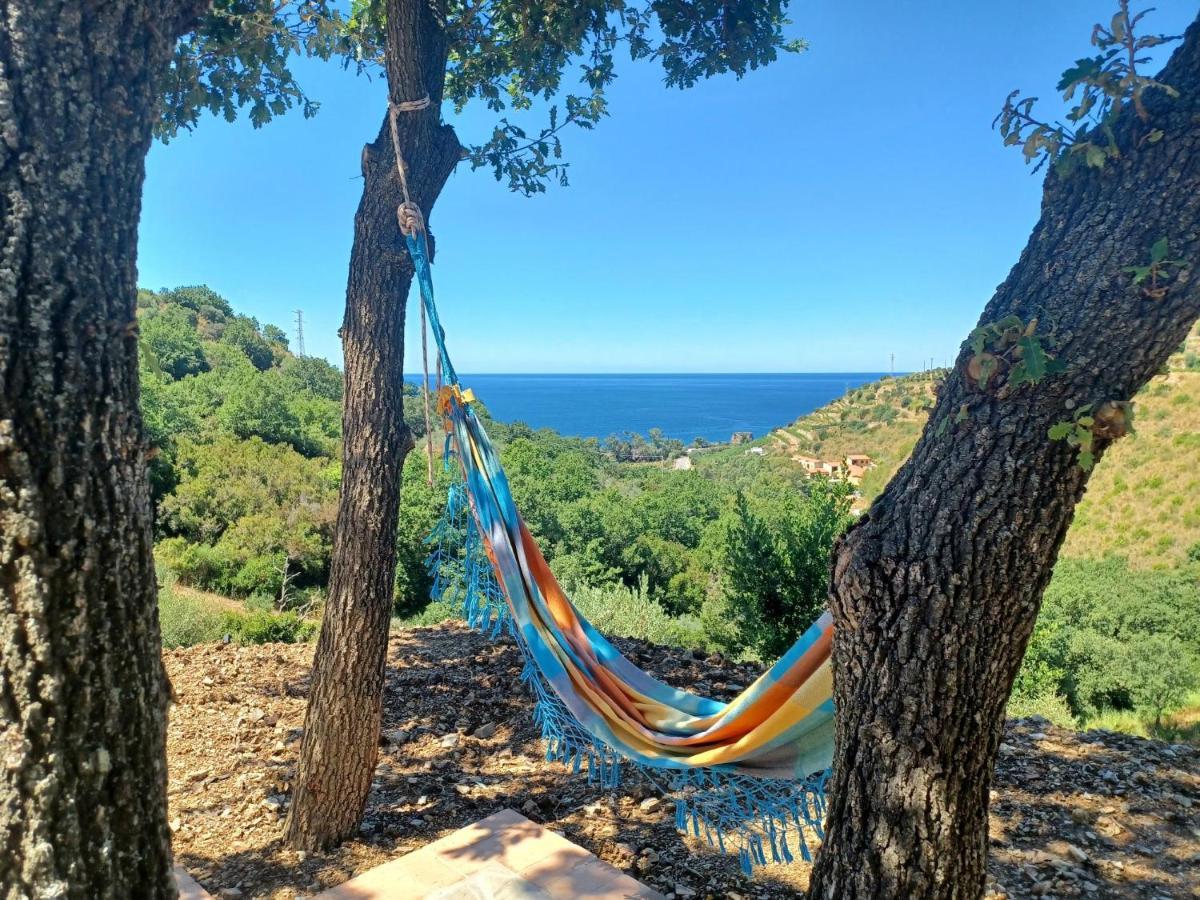 Agriturismo Le Terre Di Venere Acciaroli Exteriér fotografie