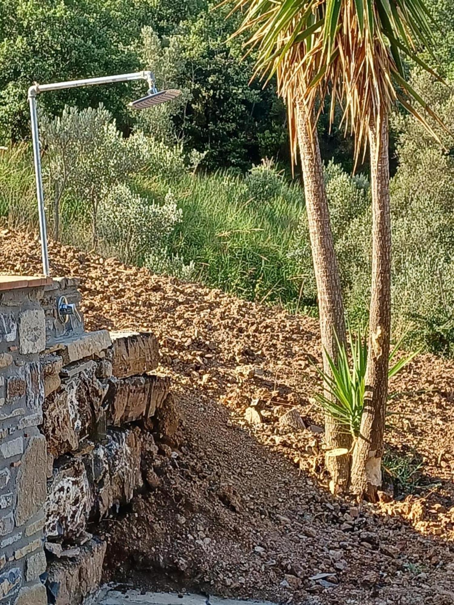 Agriturismo Le Terre Di Venere Acciaroli Pokoj fotografie